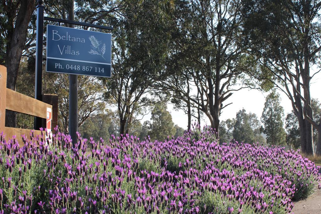 Beltana Villas Pokolbin Dış mekan fotoğraf